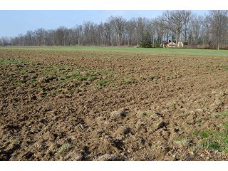 Property photo 26 - 77 +/- Acres Offered in 6 Tracts - Premier Estate Auction